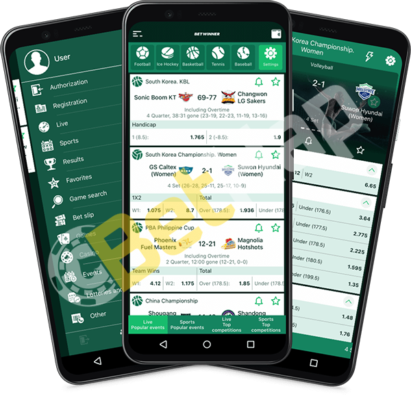Experience the Fun with Sweet Bonanza Demo