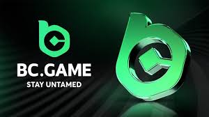 Exploring the BC.Game pros