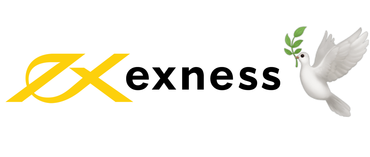 Everything You Need to Know About Exness Soutn Africa Broker Everything You Need to Know About Exness Soutn Africa Broker